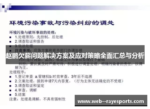 赵鹏欠薪问题解决方案及应对策略全面汇总与分析