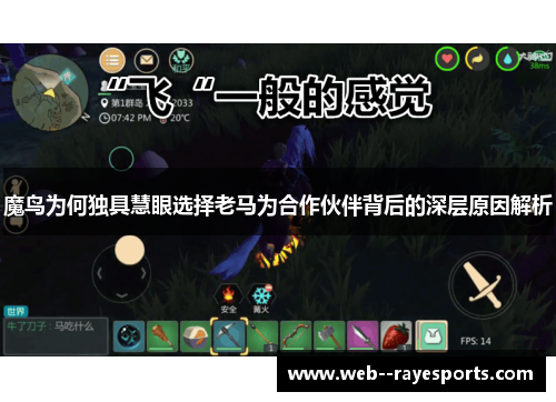 魔鸟为何独具慧眼选择老马为合作伙伴背后的深层原因解析